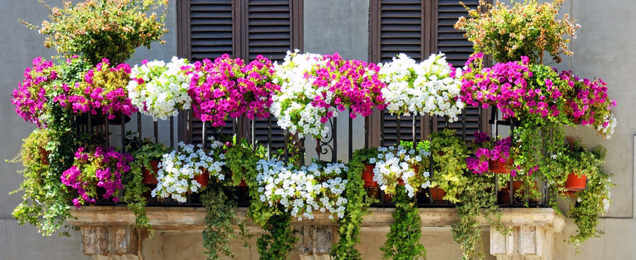 Bring the European Balcony Look Home.