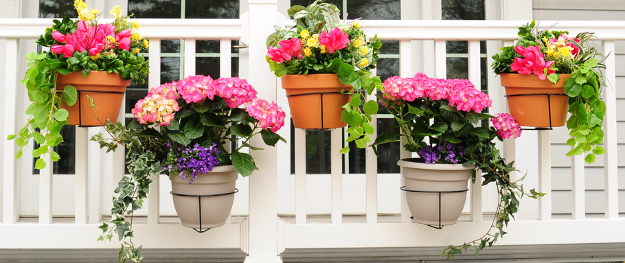 Container Gardening 101